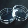Petri Dish (Glass)