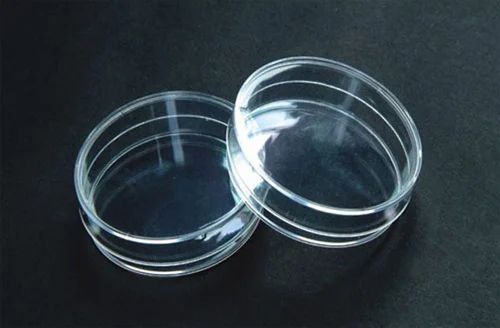 Petri Dish (Glass)