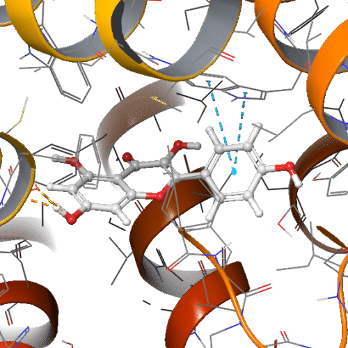 High-Throughput Virtual Screening (HTVS) Molecular Docking