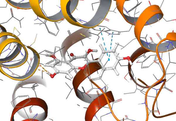 High-Throughput Virtual Screening (HTVS) Molecular Docking