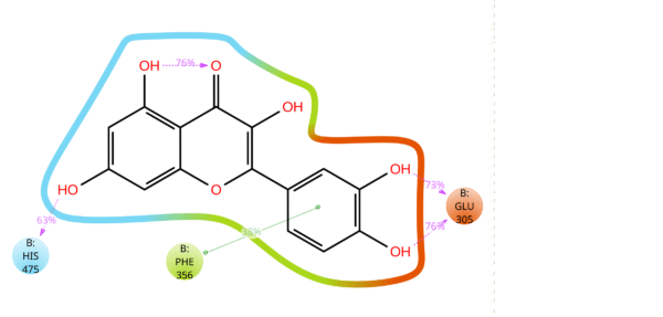 Molecular Dynamics Simulation (MD)