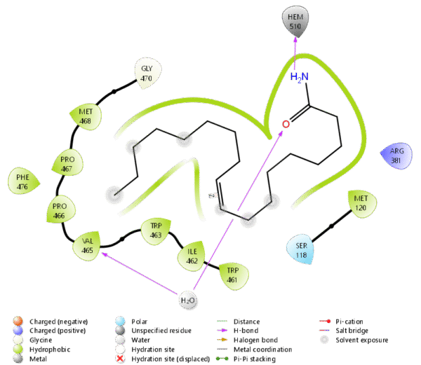 High-Throughput Virtual Screening (HTVS) Molecular Docking