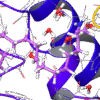 Extra Precision Molecular Docking (XP)