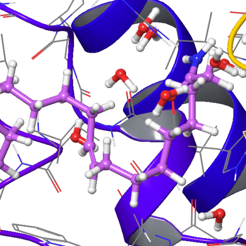 Extra Precision Molecular Docking (XP)