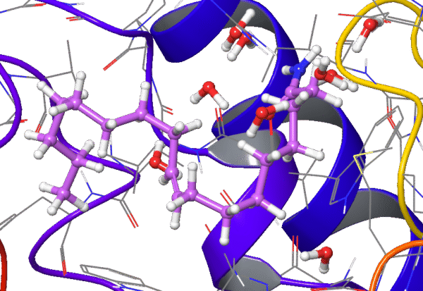 Extra Precision Molecular Docking (XP)