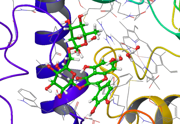 Extra Precision Molecular Docking (XP)