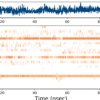 Molecular Dynamics Simulation (MD)