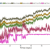 Molecular Dynamics Simulation (MD)