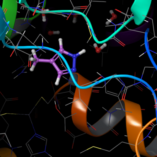 Standard Precision Molecular Docking (SP)