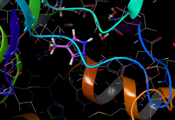 Standard Precision Molecular Docking (SP)