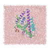 Molecular Dynamics Simulation (MD)