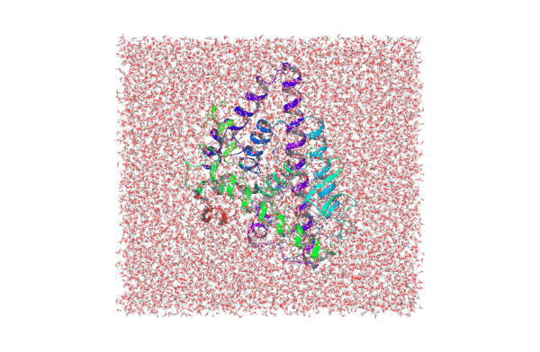 Molecular Dynamics Simulation (MD)