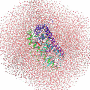 Molecular Dynamics Simulation (MD)